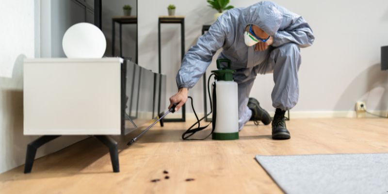 Quanto tempo dura uma dedetização em Olinda?